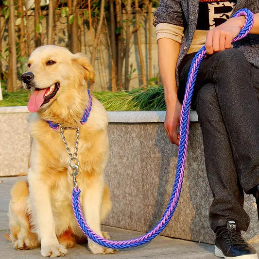 Double Rope Dog Leash and Collar